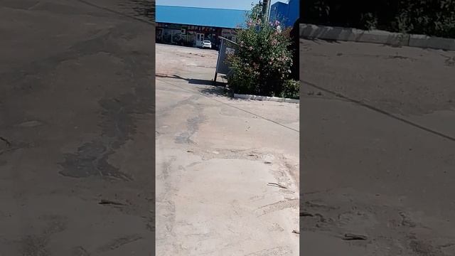 Рынок на Армовирской.