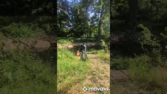 Жасминка. Тренировка по ноузворк 21 июня. Предметы, местность.
Жасмин Янкор Кримеа, 6 лет