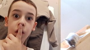 Слежу за КОШКОЙ в СЕКРЕТНЫХ КОМНАТАХ! **Даже в них неудалось проследить**