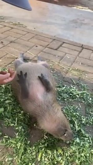 Планы на выходные!!