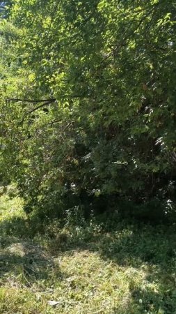 Интересные места в парке