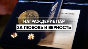 12 пар получили медаль «За любовь и верность»