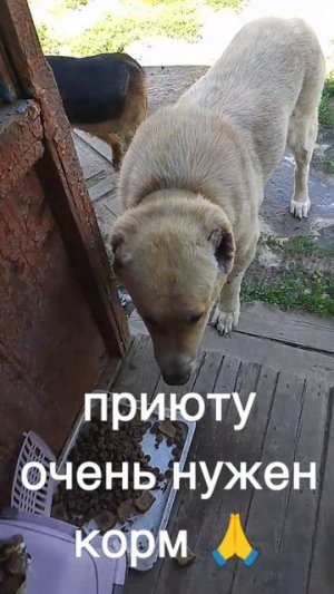+7985 193 0027 сбер элплат