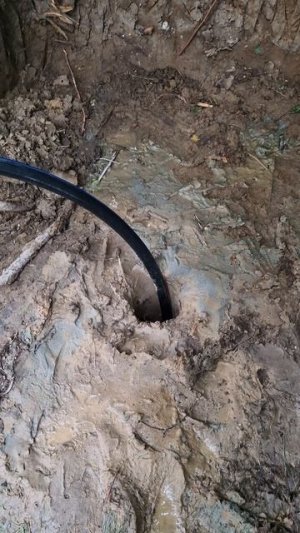 Бурение абиссинской скважины Калининград тел. 40-11-36