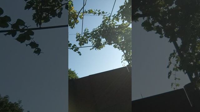 мы в деревне/2 смотреть онлайн