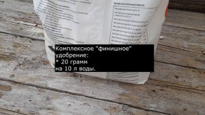 Финальная подкормка чеснока для формирования крупной головки.