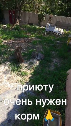 +7985 193 0027 сбер элплат