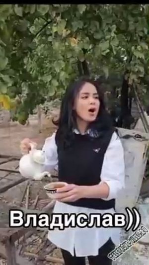 pro-vladislava