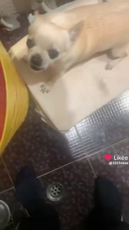1000002825.mp4