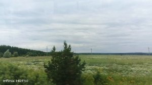 рамашковые поля и встреча с малюсеньким ёжиком