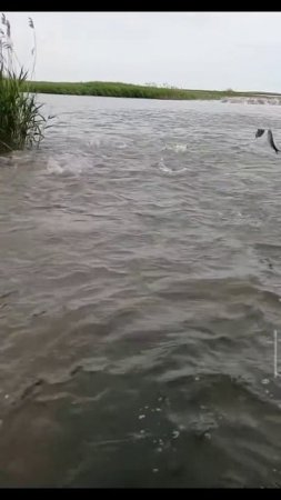 1000043560.mp4