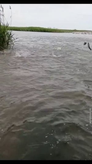 1000043560.mp4