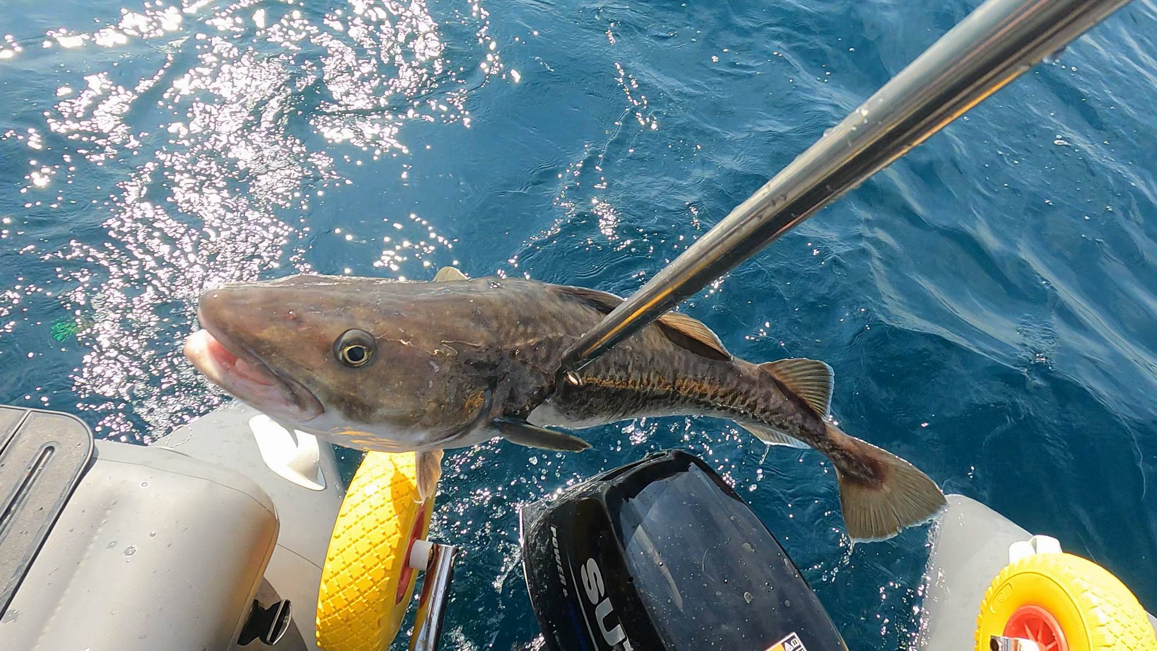 Смотри видео "Как я сам себя удовлетворяю"