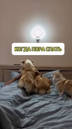 @mix_shorts_