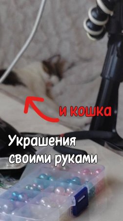 Украшения своими руками и кошка) мой тгк: stolen_liz  #развлечения #хендмейд #хобби #своимируками