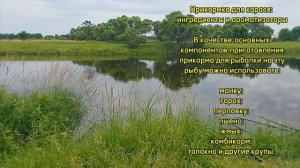 Прикормка для карася