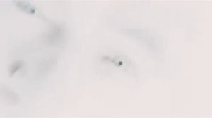 Пикник - Заратустра