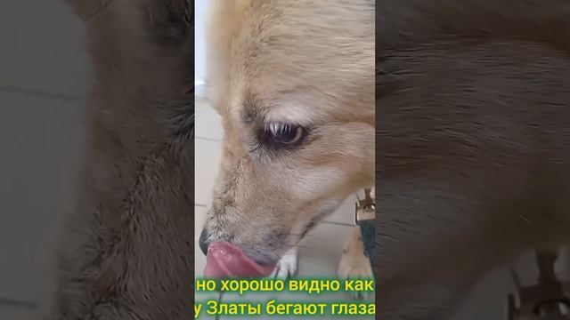Злата попала к неврологу