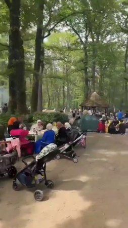 🔴В Германии, немец потрясён что он видит в немецких лесах: - "Это не Германия, в которой я вырос".