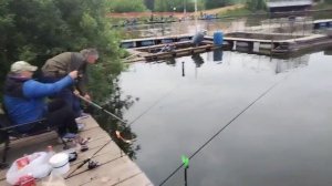Поимка Карпа