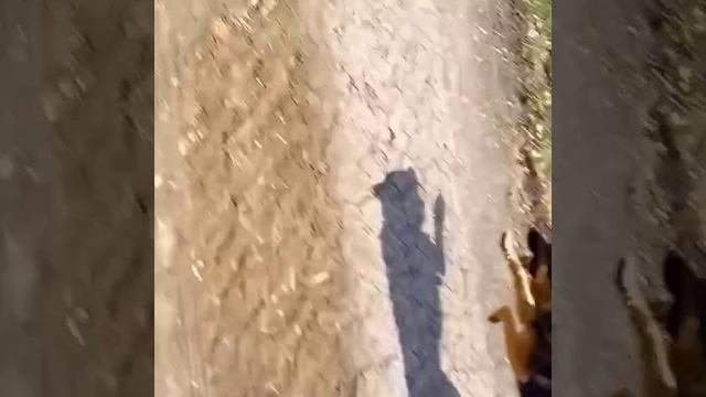 работа