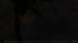 Мелодия заставляет смотреть на природу заново - Le Pull Kitsch -- Benjamin Bret -- Black Kracougol
