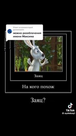 1000007342.mp4