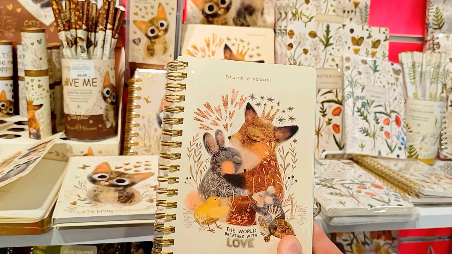 SAVVA КАНЦЕЛЯРИЯ МАГАЗИН КАНЦЕЛЯРСКИХ ТОВАРОВ САВВА ЭКОПАРК В МУРИНО ДЕВЯТКИНО САНКТ-ПЕТЕРБУРГ смотреть онлайн