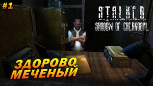 S.T.A.L.K.E.R.: Shadow of Chernobyl (полная озвучка) ➤ Прохождение #1 ➤ Здорово, Меченый
