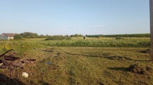 куда я дела всю траву, которую скосил муж