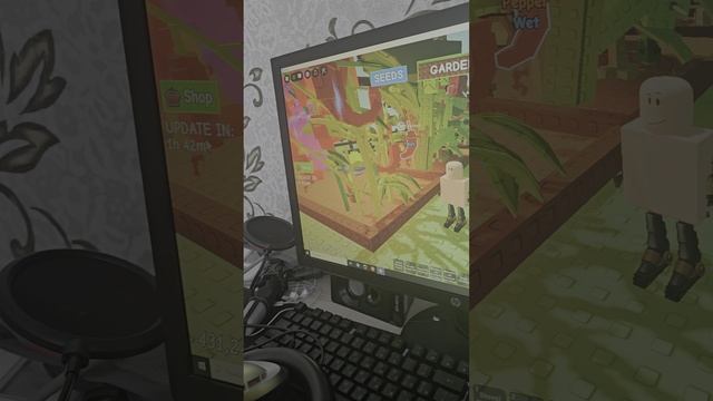 1000046491.mp4