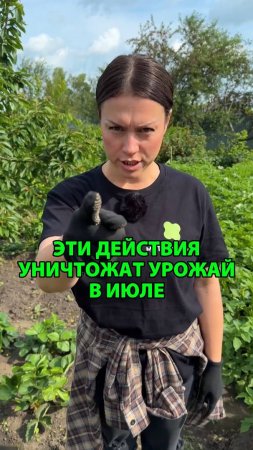 Эти простые действия уничтожат ваш урожай уже в июле