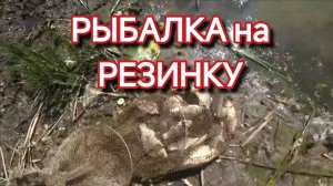 РЫБАЛКА на РЕЗИНКУ!  Ловля КРУПНОГО КАРАСЯ на резинку как в ДЕТСТВЕ🐠🐋🐟