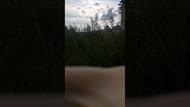 Какой-то кринж
