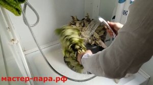 КАК ПРАВИЛЬНО ЗАПАРИТЬ ВЕНИК🌿 ДЛЯ БАНИ | ЗАПАРИВАНИЕ БАННОГО ВЕНИКА В ПОЛОТЕНЦЕ.