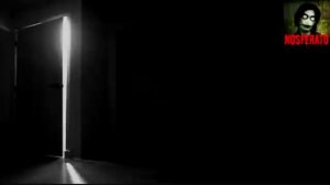 Димка. Страшные истории на ночь 🫣🫣🫣