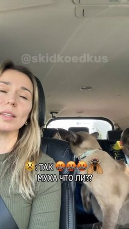 Кус. Тот самый инструктор по вождению