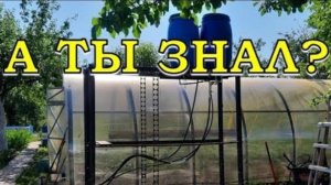 НЕ ПОЖАЛЕЛА ЧТО СДЕЛАЛА ТАК! ОГОРОДНЫЙ ЛАЙФХАК, ЗАЩИТА ГРЯДОК СЕТКОЙ!