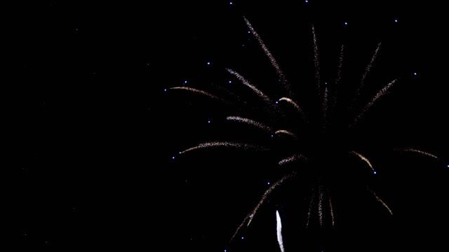 Mitch Martinez (4K).Fireworks 8