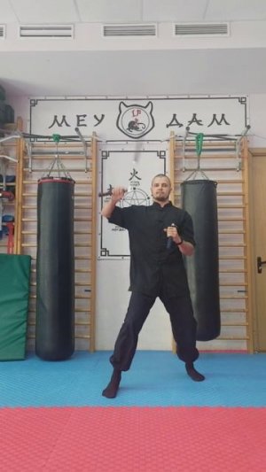Искусство владения нунчаками