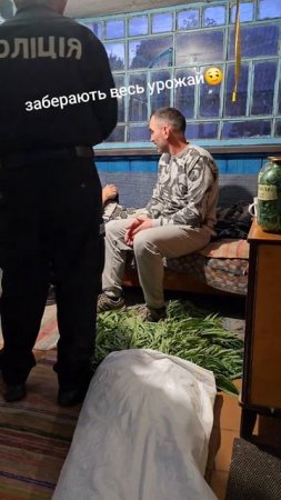 В Киеве мужик посадил помидоры, а выросли наркотики