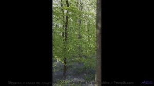Музыка, которая превращает зиму в волшебство! - 20 Minute Meditation 2 -- HoliznaCC0 -- Space - Slee