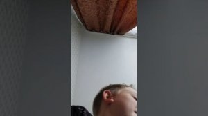 мои путишествие