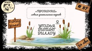 fishing planet #87 - Угодья "Випинг Виллоу" - прокачка с 54 до 55 уровня (1 часть)