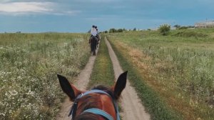 Катаемся на лошадях в Барнауле