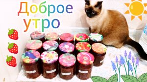 Доброе☀️утро🐱 06-07-2025 #жизнь инвалида #смешныекоты #котики