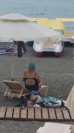 ТУРИСТЫ ОПАСАЙТЕСЬ ГОЛУБЕЙ!