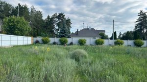 Земельный участок с. Ямное Воронежская область