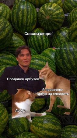 Дааа уже скоро🤣🍉 #reels #shorts #mem