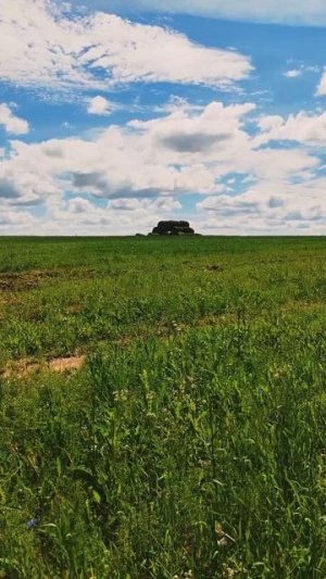 Красивый клип про природу #природа #лес #лето #Красиво